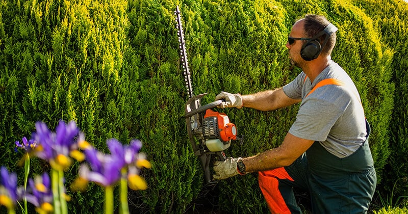 Landscaping